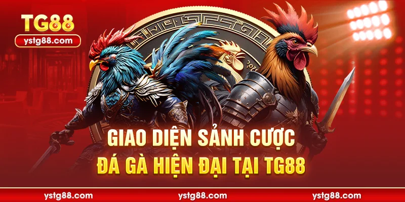 Giao diện sảnh cược Đá gà hiện đại tại TG88
